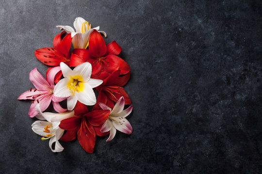 Fototapeta Colorful lily flowers