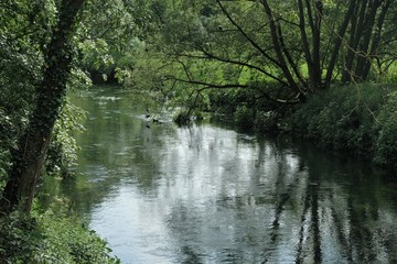 Fototapeta na wymiar River Avon, England.