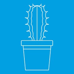 Cactaceae cactus in a pot icon, outline style