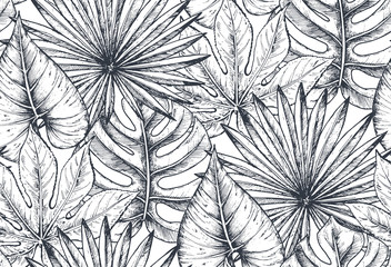 Vector naadloos patroon met composities van handgetekende tropische planten