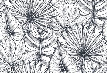 Tapeten Vektornahtloses Muster mit Kompositionen von handgezeichneten tropischen Pflanzen © natality