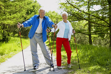 Senior couple doing Nordic walking - obrazy, fototapety, plakaty