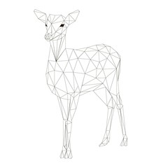 White background modules female deer isolated outline