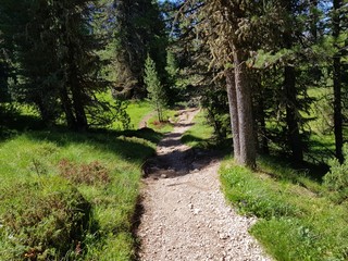 sentiero di montagna in Alta Badia