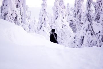 A person walking in the  wintry woods.