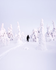 A person walking in the white winter wonderland.