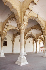 Intricate design and fine carving in Agra Fort 