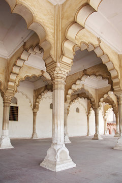 Intricate design and fine carving in Agra Fort 