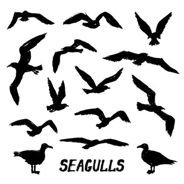 Seagulls - Set of 14 grunge hand-drawn birds