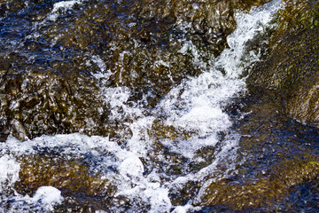Water in Nature