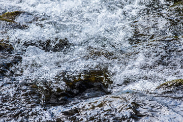 Water in Nature