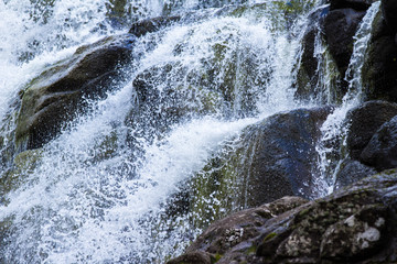 Water in Nature