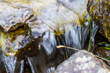 Water in Nature