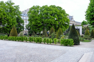 View of beautiful green park