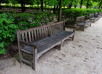 Fototapeta premium Beautiful wooden benches in park