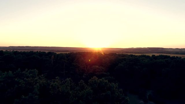 Aerial photography of a pine forest at sunset. Flight over the trees in the coniferous forest towards the sun