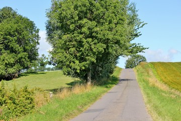 Small country road on the island of Bornholm, Denmark