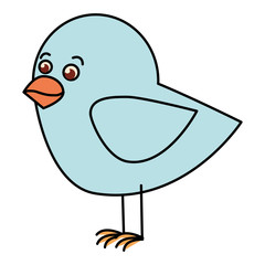 cute bird isolated icon vector illustration design