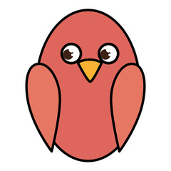 cute bird isolated icon vector illustration design