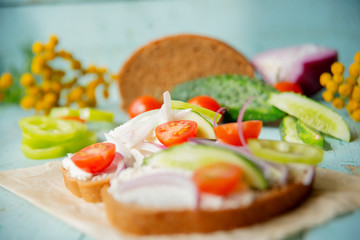 Wholesome sandwich with cheese, garden radish -Healthy Eating
