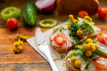 Wholesome sandwich with cheese, garden radish -Healthy Eating