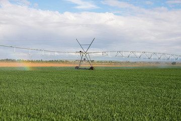 Fototapeta na wymiar Estructura de sistema de Riego por Aspersión móvil autopropulsado ( pivot) en campo de cereales