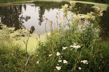 Fototapeta premium Fishing rod and the lake