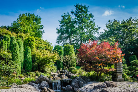 Japanischer Garten Rheinaue Bonn