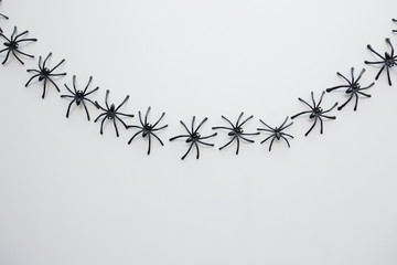 black toy spiders chain over white background