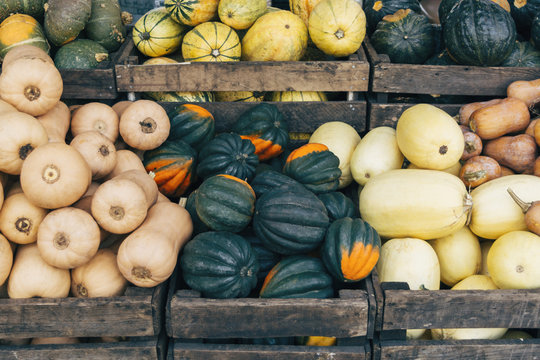 Variety of squash at market