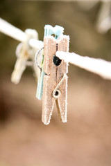 Frosty clothing clip