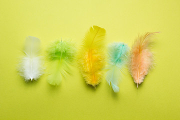 Abstract background from set of multi-colored beautiful and soft feathers of a bird on yellow.