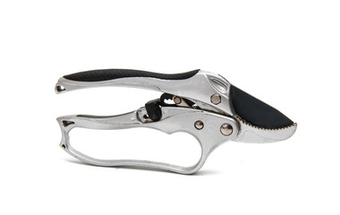 Secateurs isolated