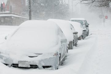 Park vehicles covered in snow storm