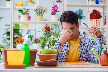 Young man florist working in a flower shop