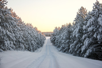 Winter road