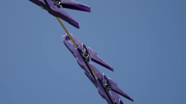 Blue sky and plastic clothespins in a row video - Purple pegs on laundry drying line footage
