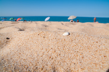 beach