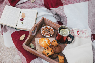 Cozy autumn picnic with tea and cookies