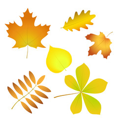 Set of simple autumn leaves with gradient fill, isolated on white background, in vector