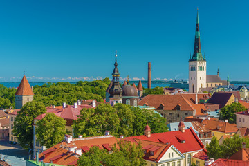 Fototapeta premium Tallinn, Estonia: aerial top view of the old town in the summer