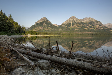 Fototapeta na wymiar mountain and lake shore with logs
