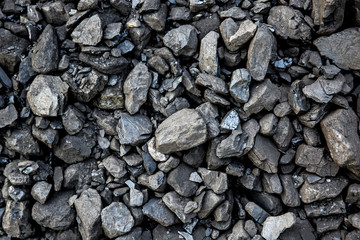 Coal