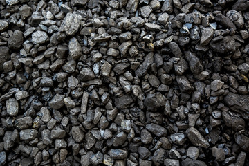 Coal