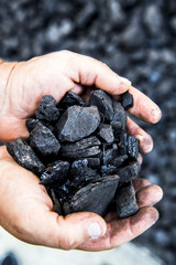 Coal in hand