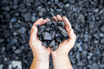Coal in hand - obrazy, fototapety, plakaty