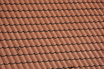 Detail eines mit Hohlpfannenziegeln gedecktem Hausdachs
