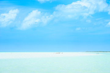 Fototapeta na wymiar View on paradies beach of island Holbox in Yucatan - Mexico