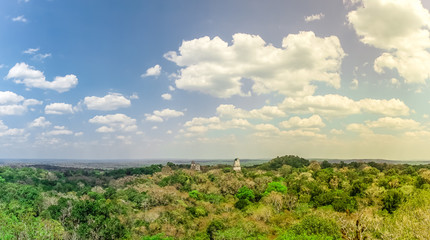 Fototapeta na wymiar View over rain forest and ruins of Tikal in Guatemala