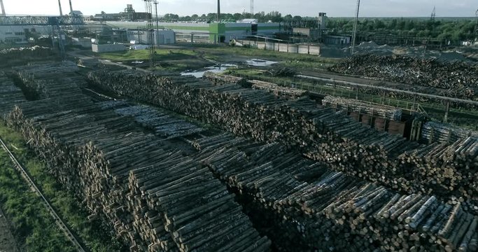 Industrial deforestation